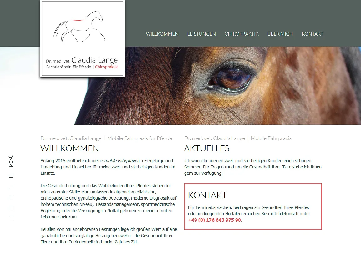 ÖÖÖWEBDESIGN, Stefan Hörömpö - Projekt: Tierarztpraxis für Pferde