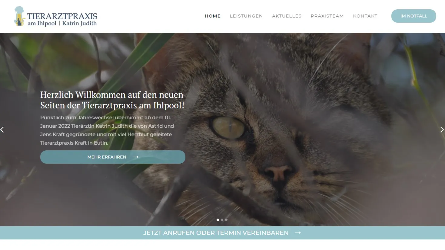 ÖÖÖWEBDESIGN, Stefan Hörömpö - Projekt: Tierarztpraxis am Ihlpool, Tierärztin Katrin Judith